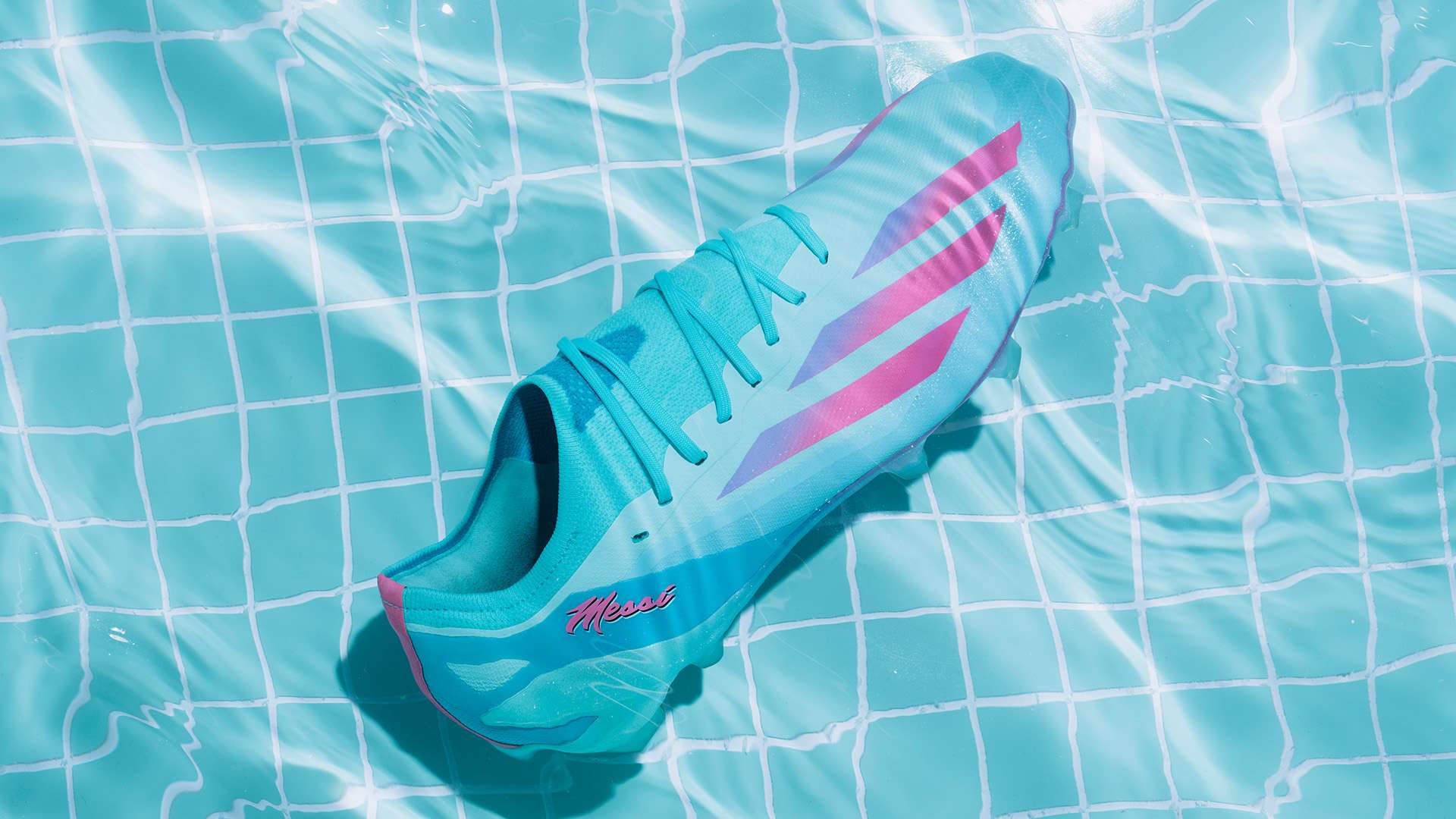 人之所以能 人之所以能