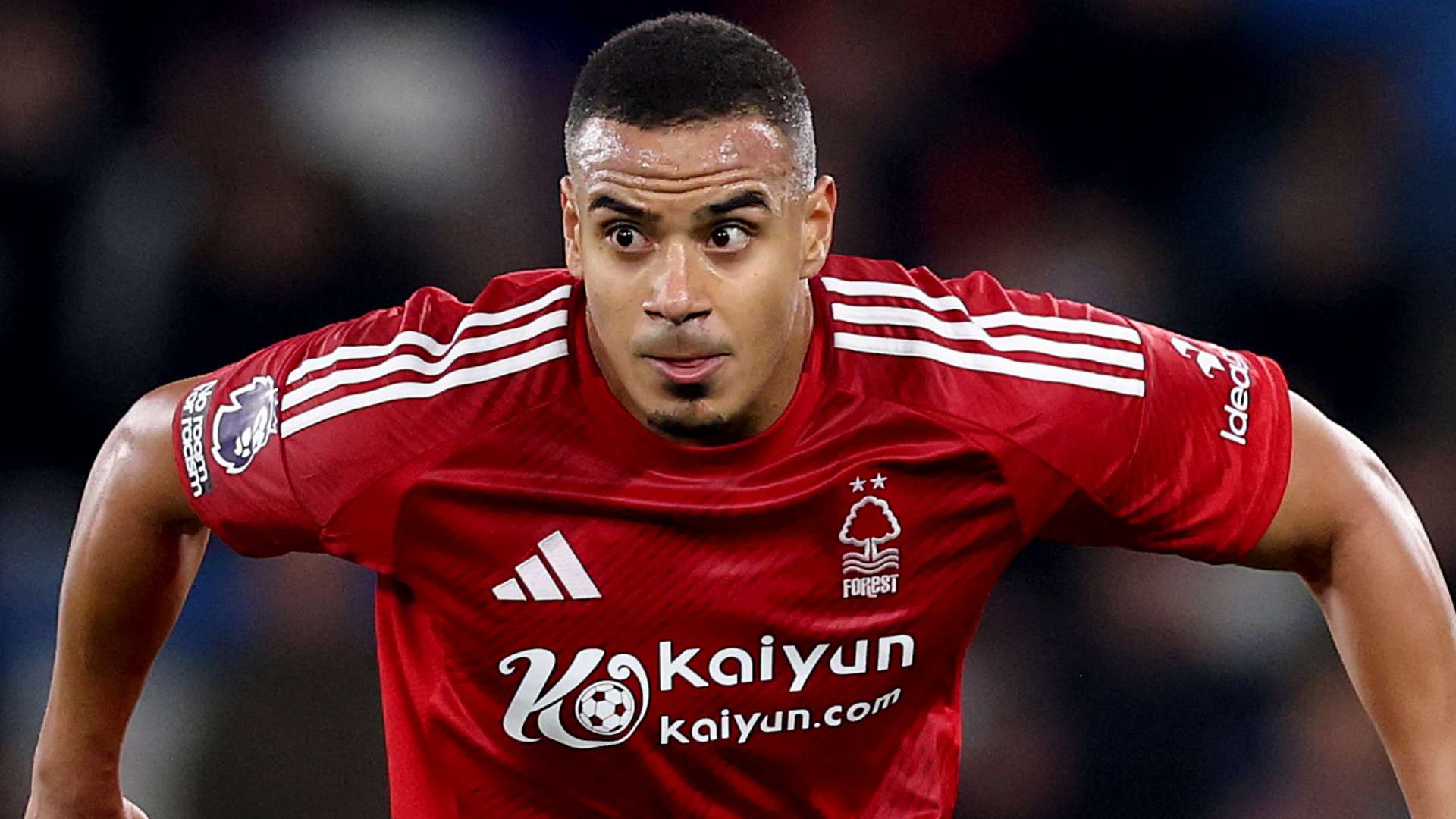 择将浓眉交 择将浓眉交